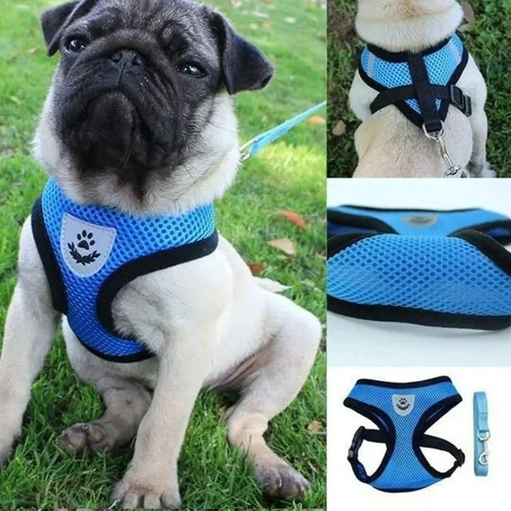 Blue Breathable Mesh Pet Harness and Leash Set Reflective Vest Medium Dog Cat